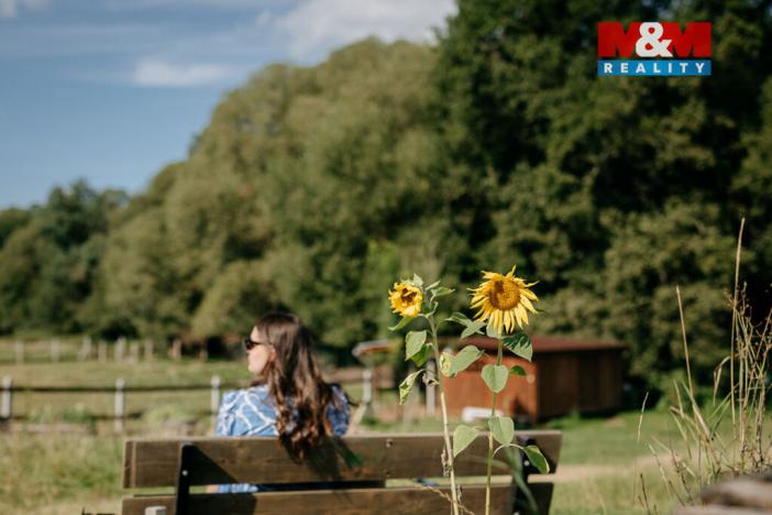 Prodej komerčního pozemku, Sušice - Divišov, 4292 m2