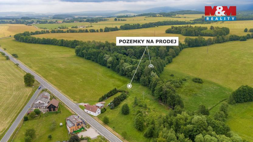Prodej louky, Dětřichov, 4178 m2