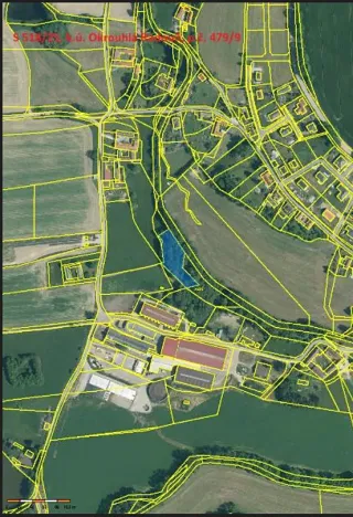 Prodej lesa, Okrouhlá Radouň, 2438 m2