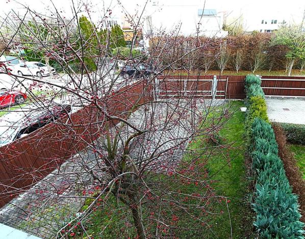 Prodej rodinného domu, Jenštejn, Cechovní, 145 m2