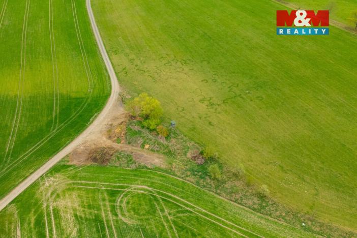 Prodej louky, Olešnice, 730 m2