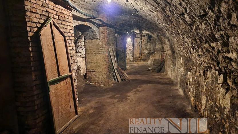 Pronájem restaurace, Plzeň, náměstí Republiky, 171 m2