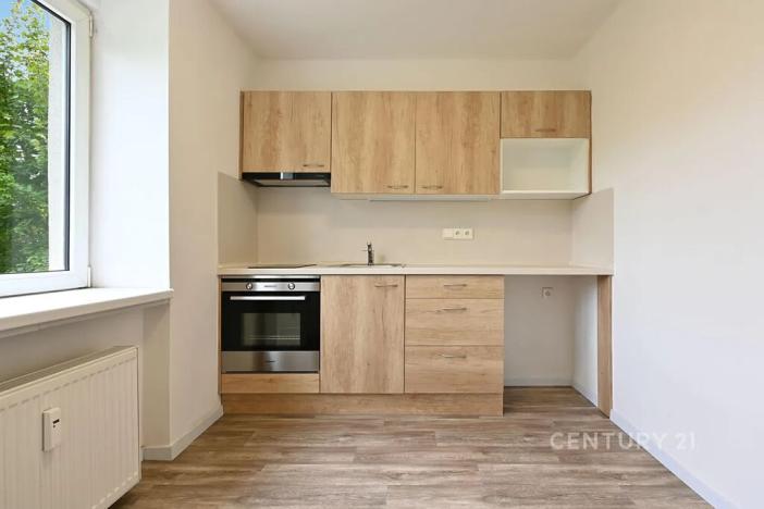 Pronájem bytu 1+1, Most, Antonína Dvořáka, 29 m2