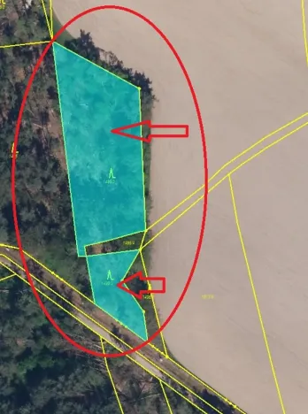 Prodej lesa, Bolehošť, 3558 m2