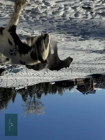 Prodej apartmánu, Nové Hamry, 1148 m2