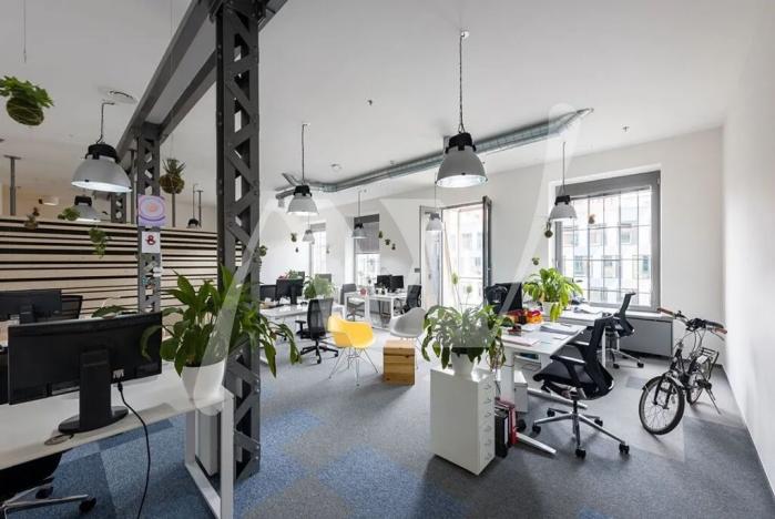 Pronájem kanceláře, Praha - Holešovice, Jankovcova, 337 m2