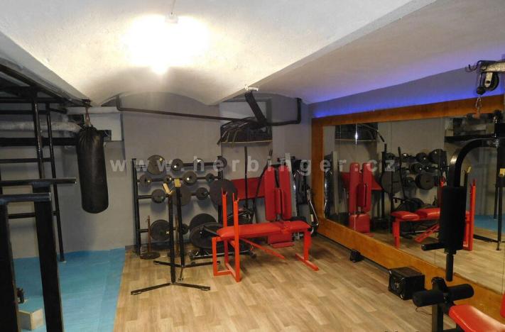 Prodej rodinného domu, Ostrava - Vítkovice, Mírová, 1505 m2