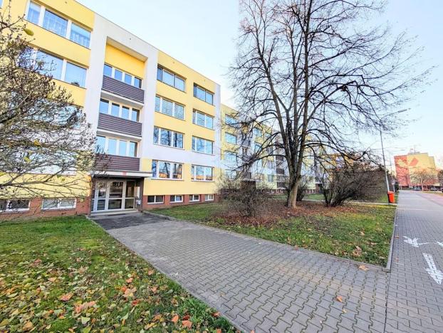 Pronájem bytu 1+1, Mladá Boleslav, U stadionu, 45 m2