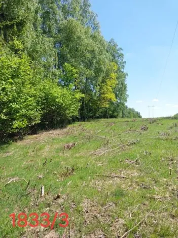 Prodej lesa, Vyskytná, 1907 m2