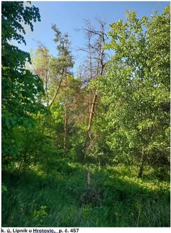 Prodej lesa, Lipník, 2058 m2