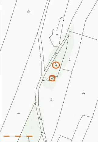 Prodej lesa, Nová Bystřice, 1069 m2