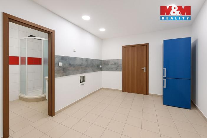 Prodej komerční nemovitosti, Svatava, U Přádelny, 250 m2