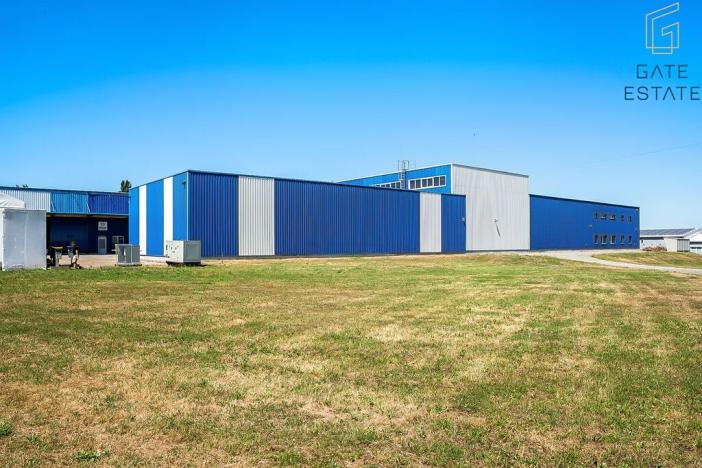 Pronájem výrobních prostor, Hrušky, Na aleji, 6941 m2