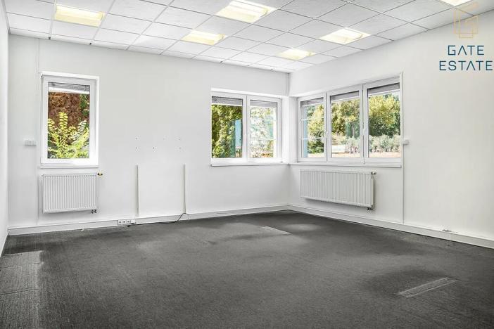 Pronájem výrobních prostor, Hrušky, Na aleji, 6941 m2