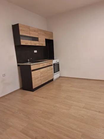 Pronájem bytu 1+kk, Chotěšov, Ořechová, 29 m2