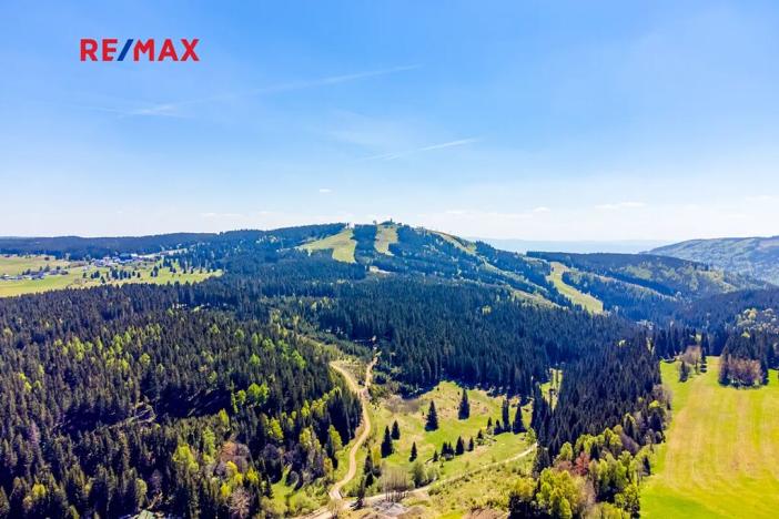 Prodej bytu 1+kk, Abertamy, Vítězná, 41 m2