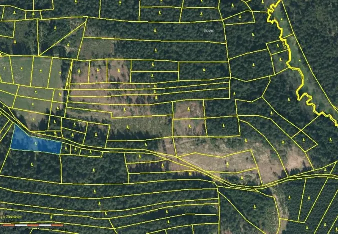 Prodej podílu lesa, Smilovy Hory, 19284 m2