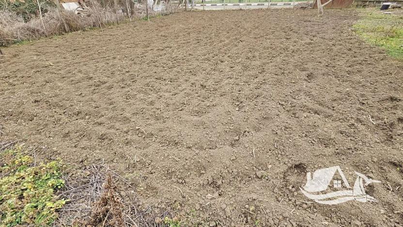 Prodej rodinného domu, Nesebar, Bulharsko, 80 m2