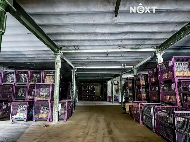 Pronájem výrobních prostor, Dětřichov, 6890 m2