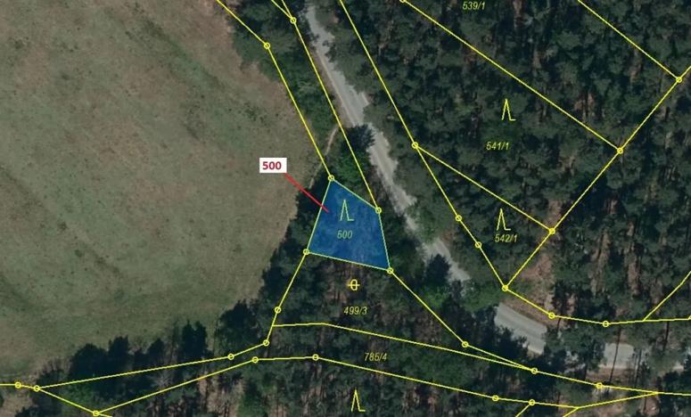 Dražba lesa, Náměšť nad Oslavou, 177 m2