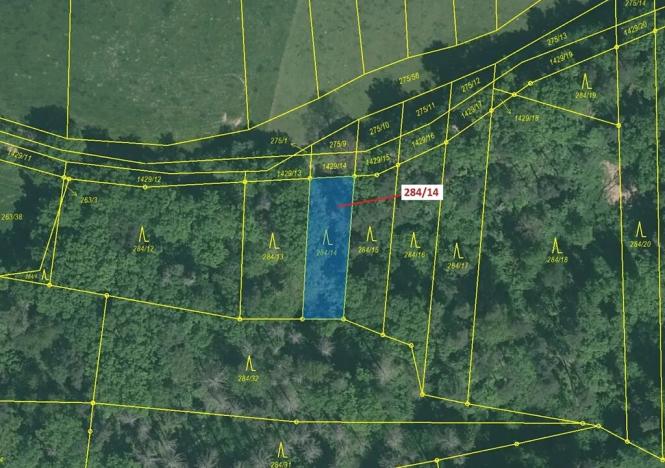 Dražba lesa, Milavče, 441 m2