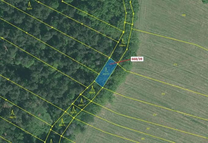 Dražba lesa, Milavče, 222 m2