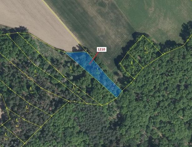 Dražba lesa, Náměšť nad Oslavou, 1128 m2
