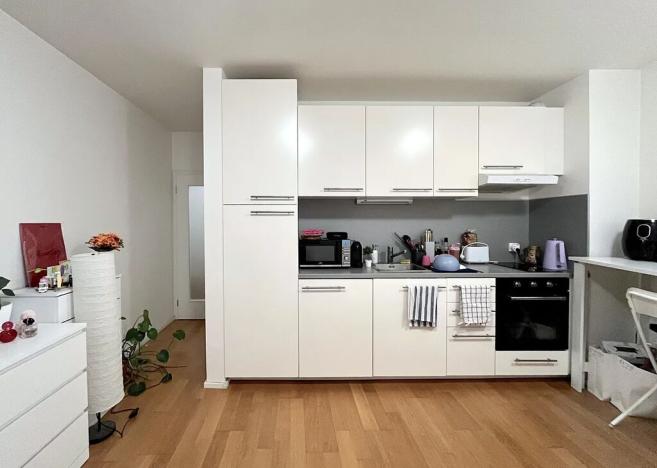 Pronájem bytu 1+kk, Brno, Mlýnská, 32 m2