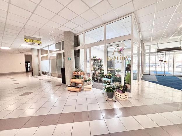 Pronájem obchodního prostoru, Brno, Příkop, 15 m2