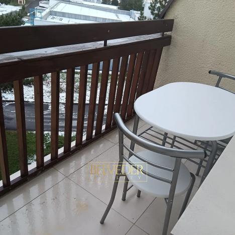 Pronájem bytu 1+kk, Teplice, Petra Jilemnického, 26 m2