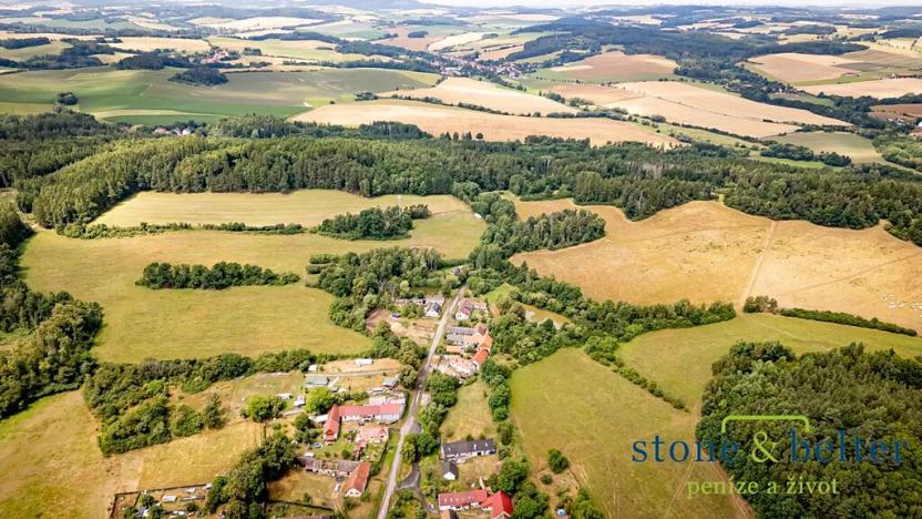 Prodej lesa, Zvěstov, 45954 m2