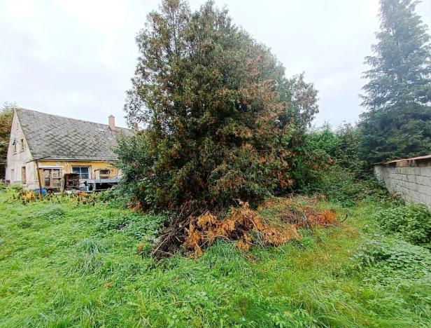 Prodej rodinného domu, Frýdlant, Dlouhá, 125 m2