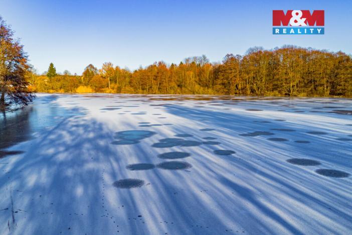 Prodej rybníku, Studená - Horní Pole, 31045 m2