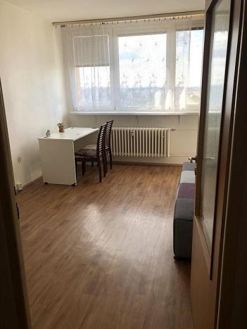 Pronájem bytu 1+kk, Brno - Lesná, Halasovo náměstí, 21 m2