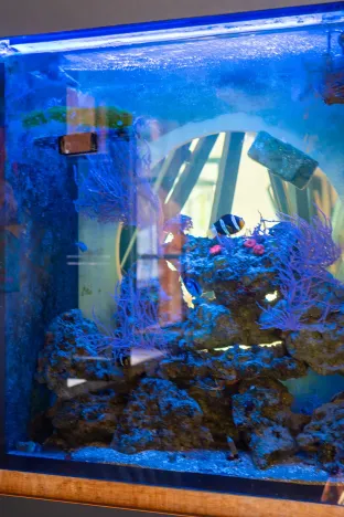 Prodej rodinného domu, Kvilda, 408 m2