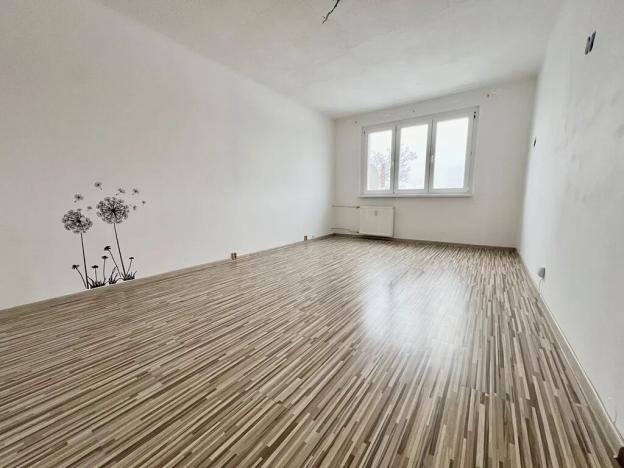 Pronájem bytu 2+1, Chodov, Revoluční, 56 m2