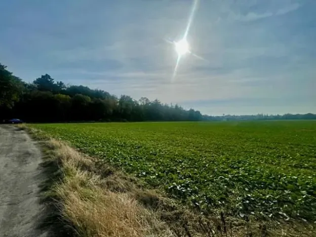 Prodej pole, Praha - Liboc, Na Padesátníku I, 24066 m2