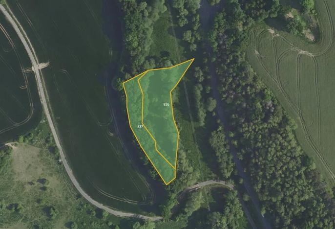 Prodej louky, Všestary, 6261 m2