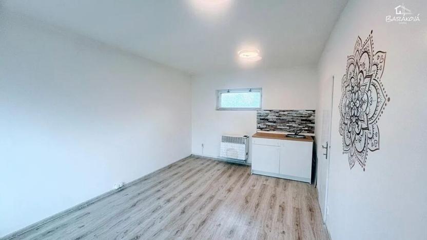 Pronájem obchodního prostoru, Plzeň, Mánesova, 17 m2