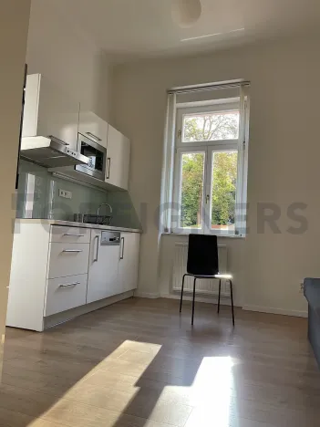 Pronájem bytu 2+kk, Praha - Žižkov, Ježkova, 37 m2