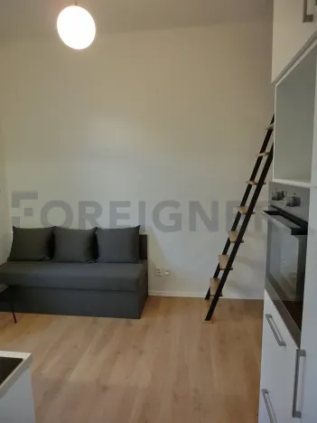 Pronájem bytu 2+kk, Praha - Žižkov, Ježkova, 37 m2