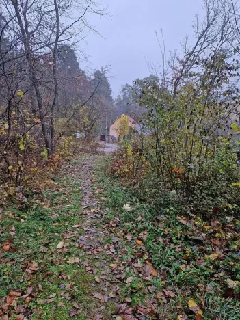 Prodej chaty, Mokrá-Horákov, 54 m2