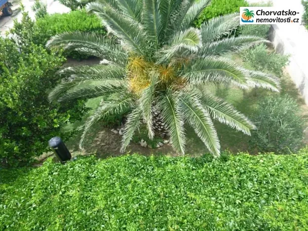 Prodej vily, Povljana, Chorvatsko, 318 m2