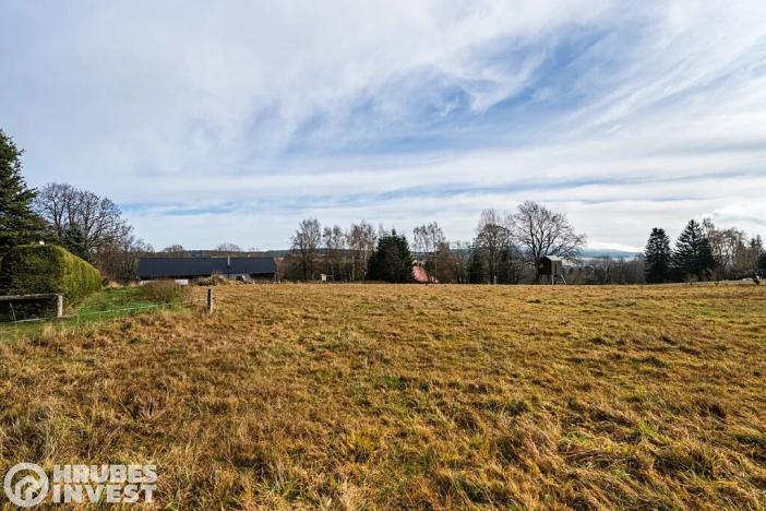 Prodej pozemku pro bydlení, Orlické Záhoří, 4018 m2