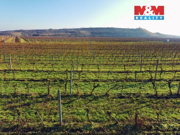 Prodej pole, Velké Bílovice, 7286 m2