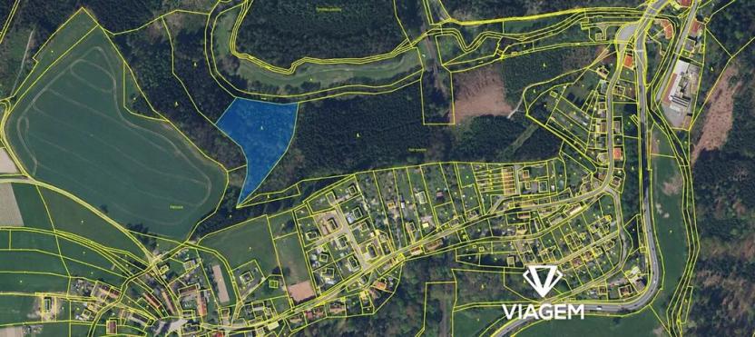 Prodej podílu lesa, Velké Petrovice, 4922 m2