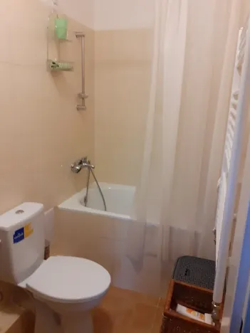 Pronájem bytu 1+kk, Praha - Michle, Čapkova, 20 m2