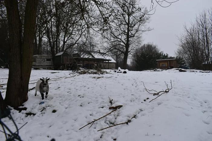 Prodej pozemku pro bydlení, Varnsdorf, 1077 m2