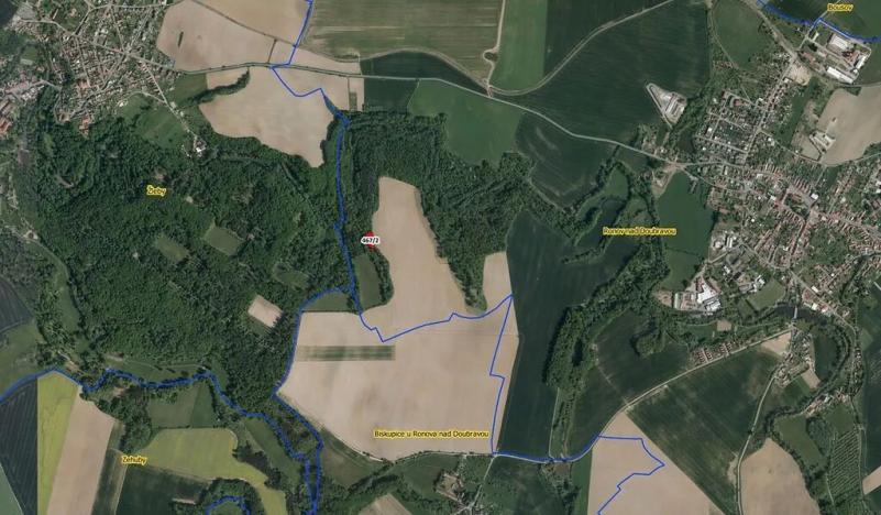 Prodej lesa, Ronov nad Doubravou, 964 m2