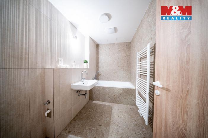 Prodej bytu 1+kk, Brandýs nad Labem-Stará Boleslav, Dřevčická, 37 m2